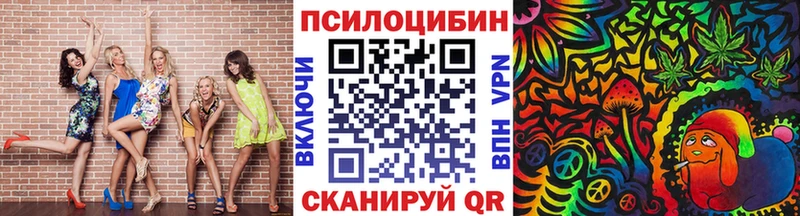 Купить где  Кирсанов  Галлюциногенные грибы GOLDEN TEACHER 